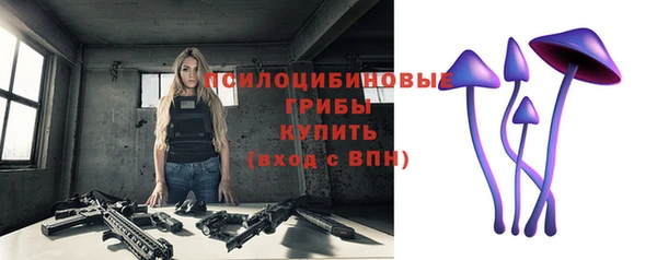 apvp Беломорск