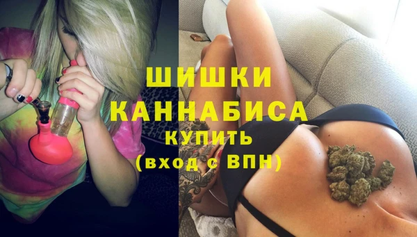молекула духа Белокуриха