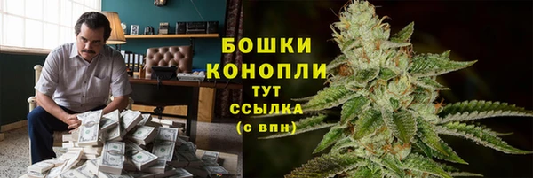 молекула духа Белокуриха