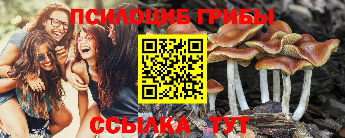 Гудермес  Галлюциногенные грибы Cubensis  Галлюциногенные грибы мицелий  цены   Вход с VPN 