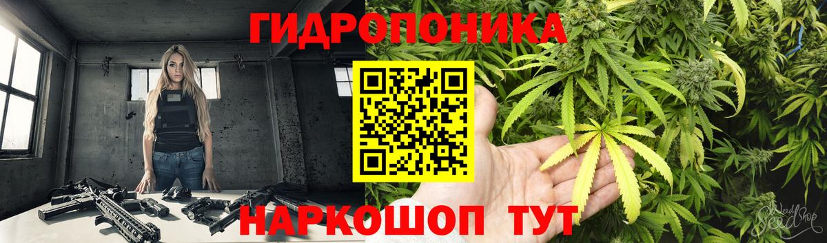 Каннабис SATIVA & INDICA Гудермес